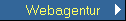 Webagentur